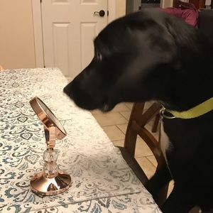 Meet your Posher, Matt